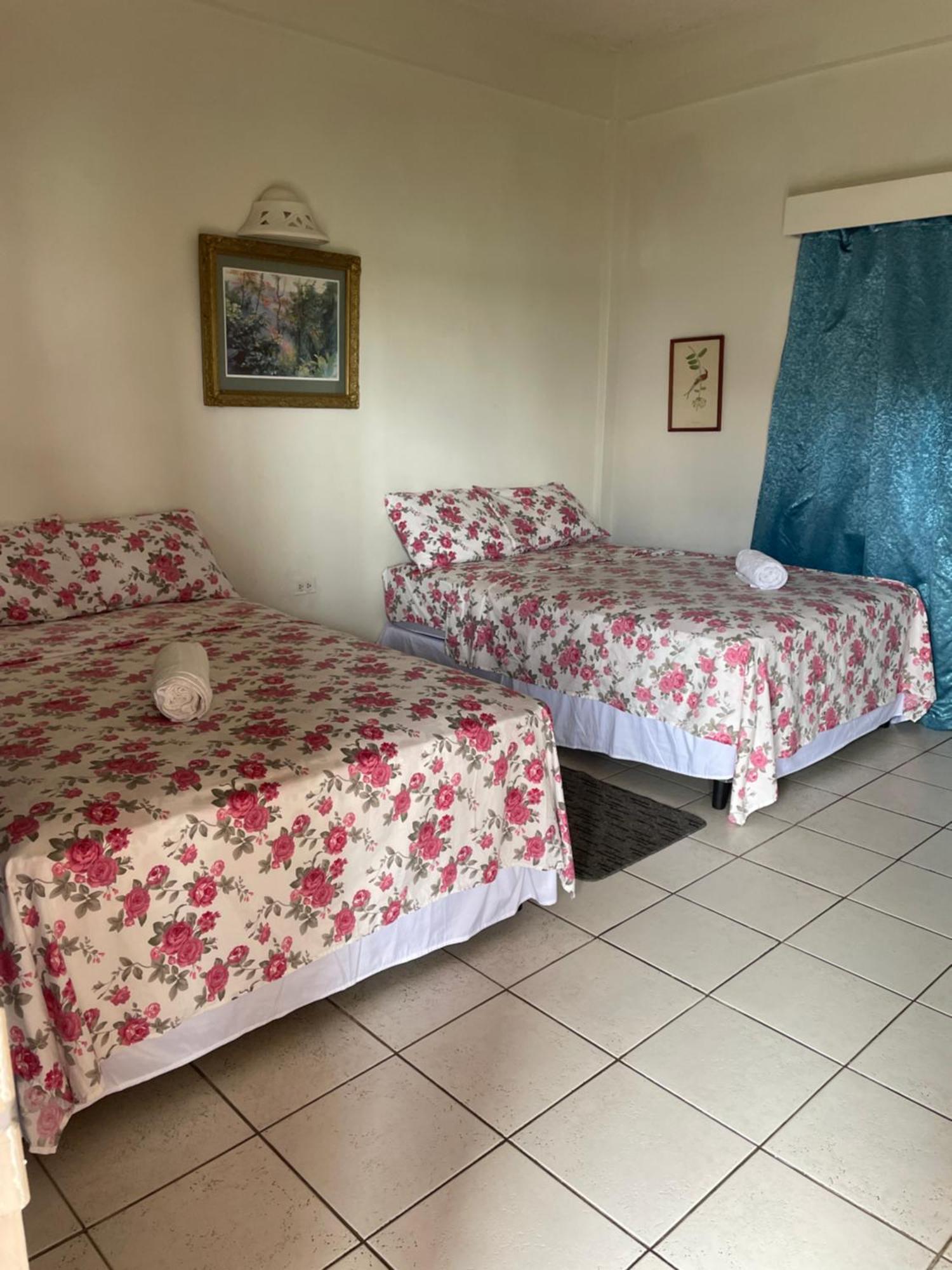 The Seaside Garden Guesthouse Buccoo Bagian luar foto